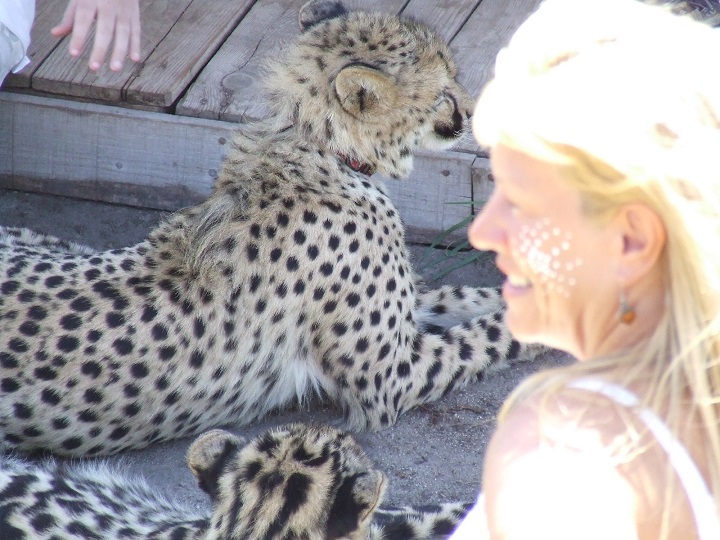Cheetah Outreach